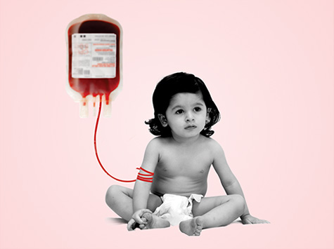 care-supoort-1 care-supoort-1